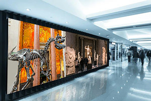 Interactive video wall engaging visitors at a museum